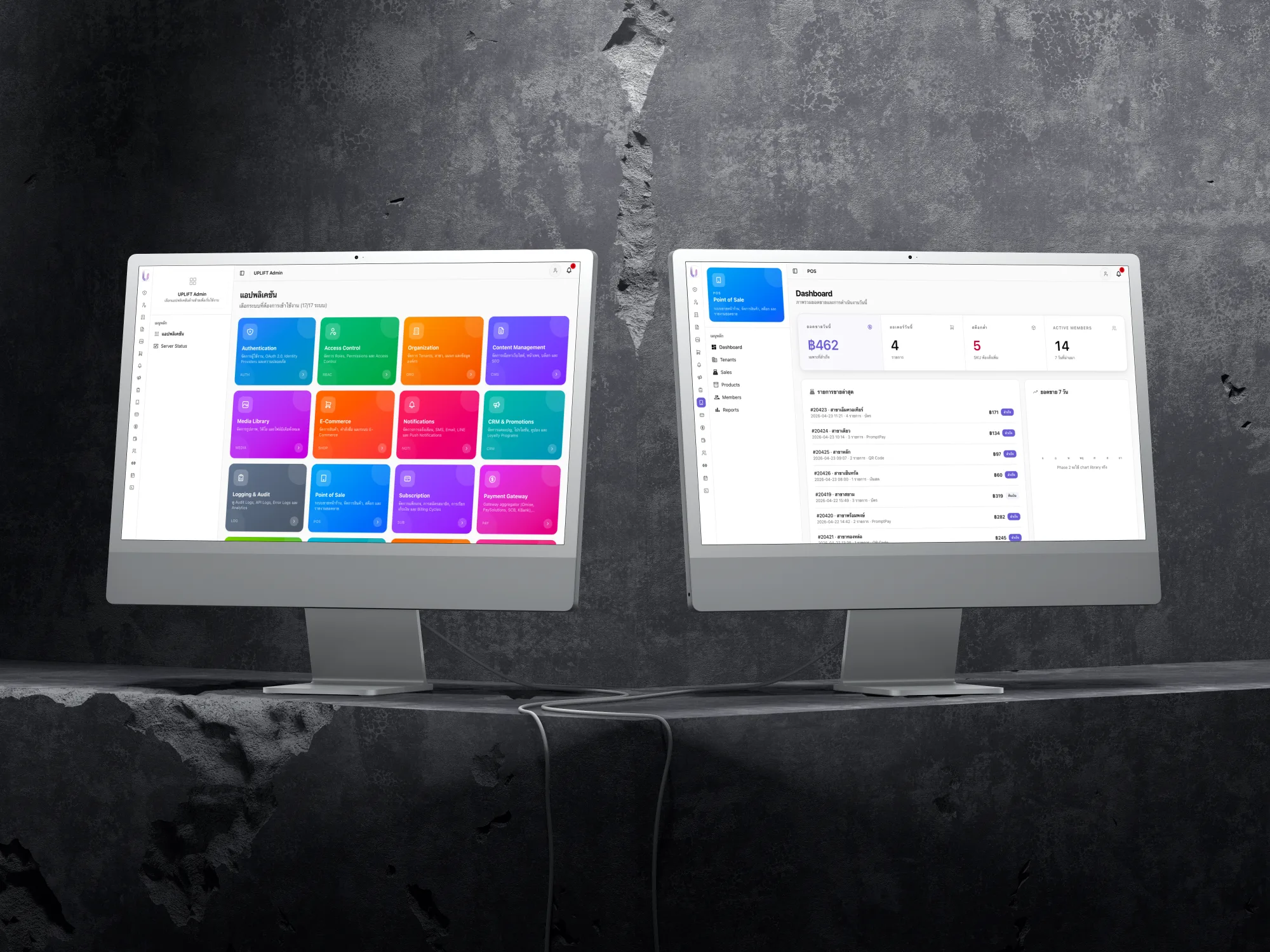 D-Clean dashboard on dual monitors